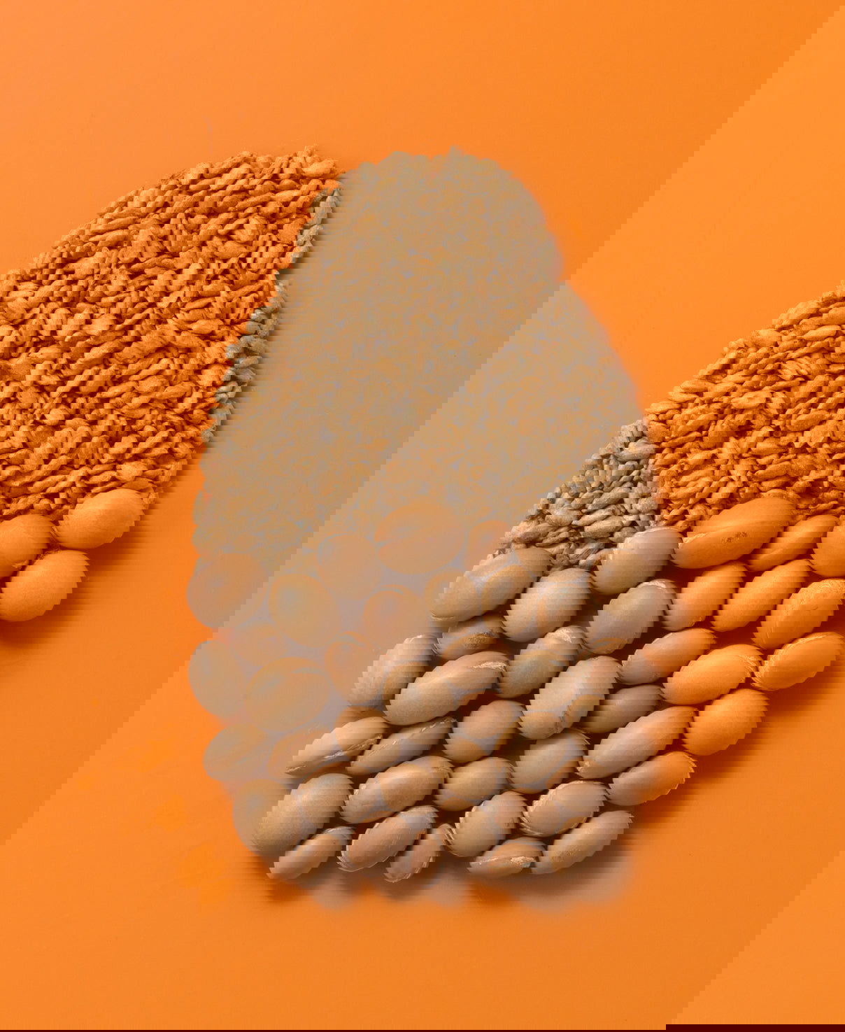 OGX Anti-Breakage Keratin oil Shampoo - Missrose.lk